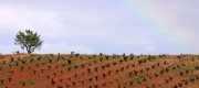 rutadelvino