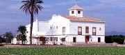 campos de chufas