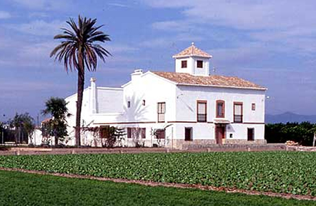 campos de chufas