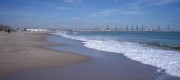 playa arbre del gos