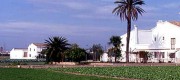 ruta alboraya