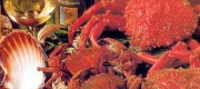 mariscos-de-galicia-