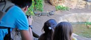 Bioparc Valencia 2012