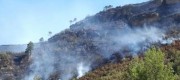 Controlado incendio Chulilla