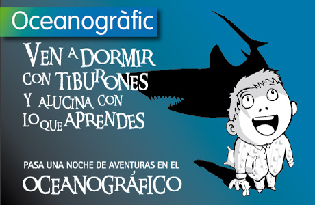Dormir con tiburones