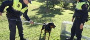 La patrulla verde en un trabajo de rescate