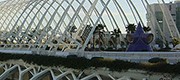 umbracle