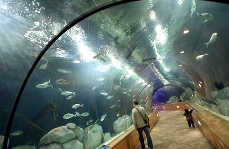 Oceanogràfic de Valencia