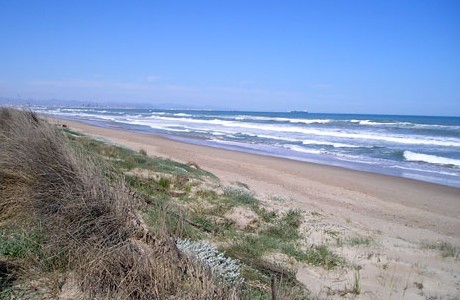 Playa de la Devesa del Saler (Valencia)