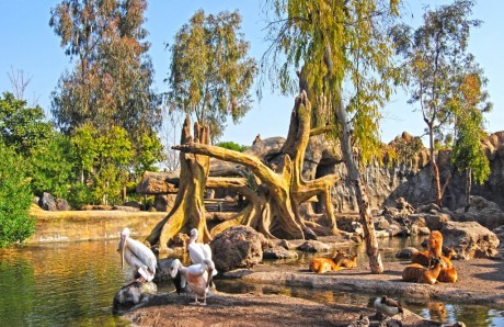 La sabana Aficana en Bioparc Valencia