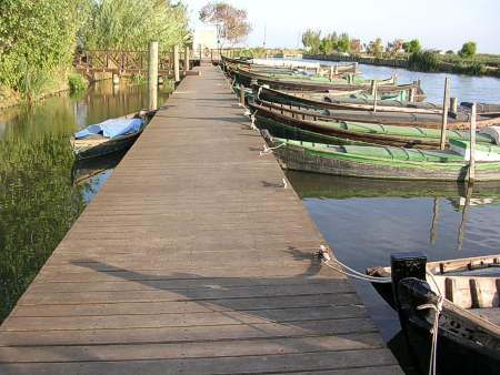 albufera4