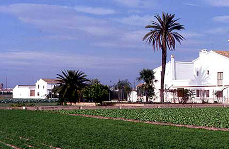 tour through alboraya