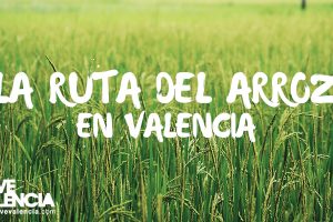 La ruta del arroz en Valencia