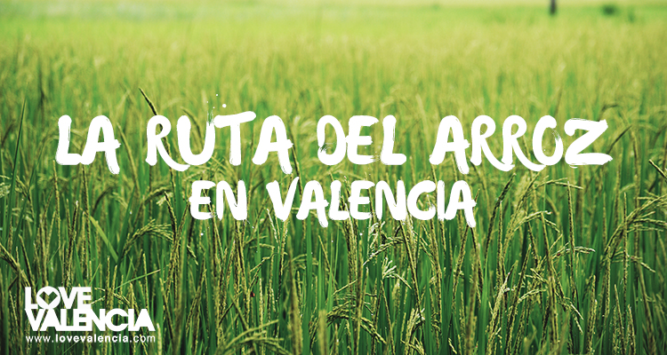 La ruta del arroz en Valencia