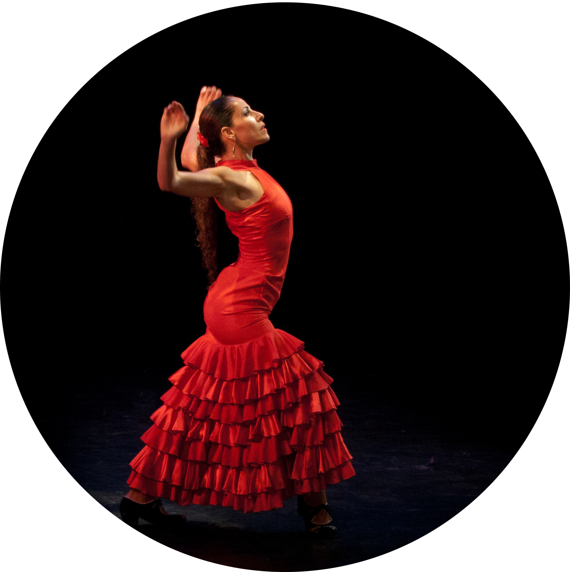Resultado de imagen de Flamenco