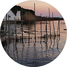 albufera-valencia