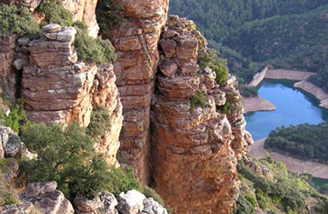 Excursión Jardín Botánico