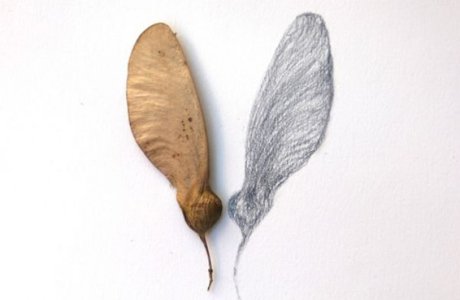 Exposición de Núria Ferriol en el Jardín Botánico de la Universidad de Valencia