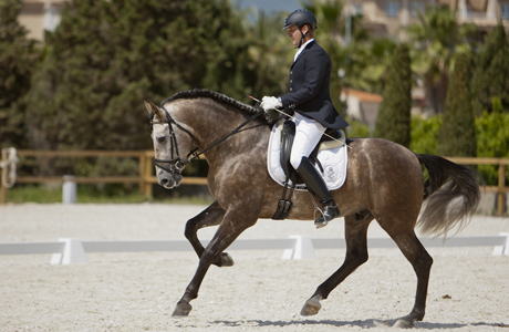 Centro de Doma El Castoreño, Benaguasil (Valencia)