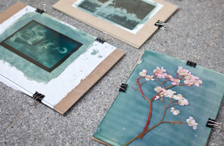 Taller de Cianotipia en el Jardín Botánico de la Universidad de Valencia