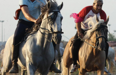 Corregudes de Joies 2013