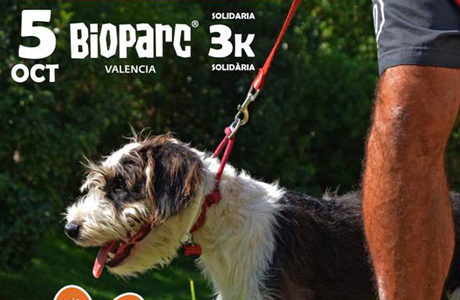 Carrera Popular Valencia con perros
