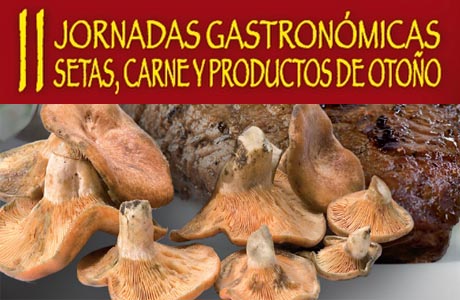 Jornada Setas y Carne Castellon