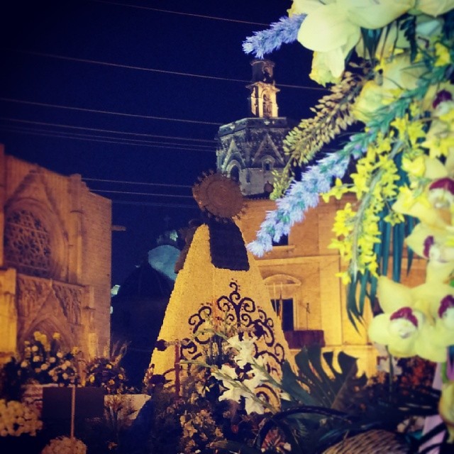 La primavera llega antes a #Valencia #valenciagram_fallas #lovevalencia #valenciagrafias #igersvalencia #fallas #flowers #skyline #night #lights #sky #people #city #igersworldclub #igsnapshots #perfectshot #nature #valenciaenamora #10likes