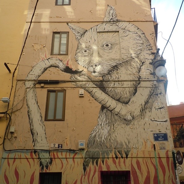 Catwall #cat #catstagram #cats #paint #graffiti #art #gato #valenciamola #valenciacity #valenciagram #Valencia #lovevalencia #igersvalencia #igerscomunitat #ig_spain #instacute #inspiration #instacats #inspire #instacool #spain #nice