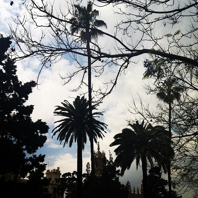 #mussol78 #glorieta #valencia #jardín #palmeras #valenciagram #valenciaenamora #lovevalencia #ilovevalencia #estaes_valencia #estaes_universal #estaes_españa #estaes_todo #comunitatvalenciana #ig_valencia #fotomovil_es