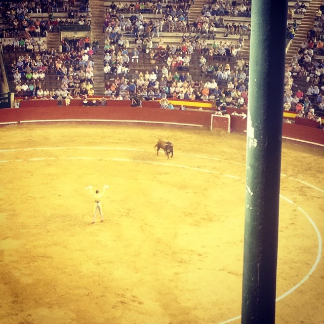 Una volta basta #corridadetoros#valencia#valencià#valenciana#comunitat#plaza#de#toros#padilla#elfandi#abellan#toreros#feria#fira#julio#juliol#lovevalencia