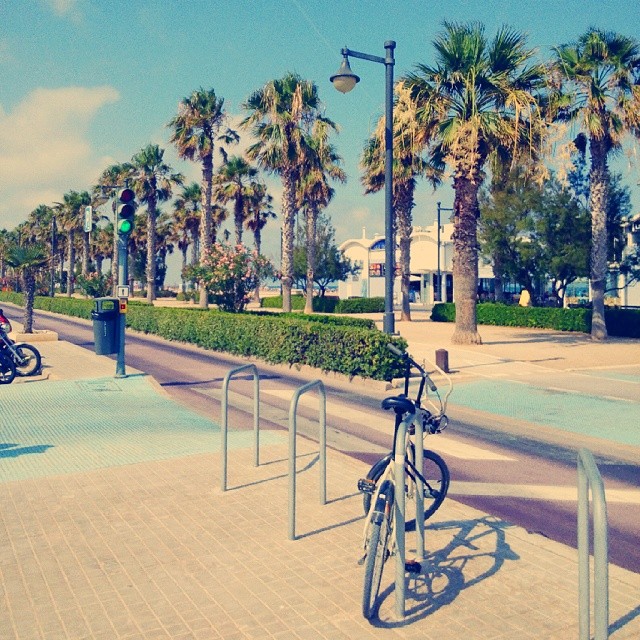 Oh beach!! #valenciamola #valenciacity #valenciagram #valencia #valenciaterraimar #lovevalencia #comunitatvalenciana #ig_europe #ig_spain #igersvalencia #malvarrosa #spain #summer #palms #igerscomunitat #lovely #verano #playa #beach #relax