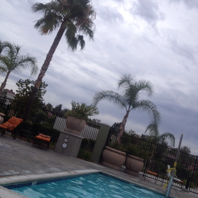 Love this weather..not hot not cold #perfectweather#lovethisweather#nothotnotcold#cool#lovevalencia#valencia#iwanttolivehere#weather#niceweather ????????