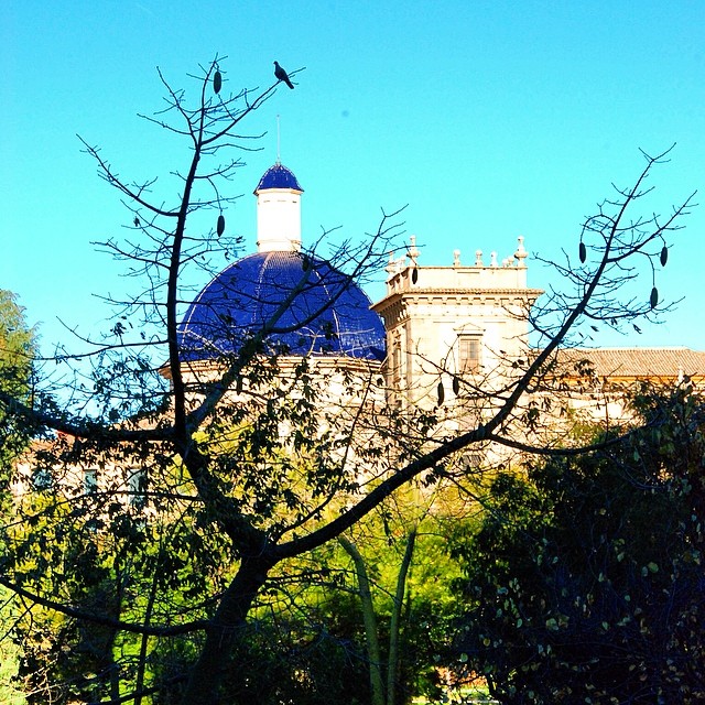#mussol78 #museo de #bellasartes #rio #turia #cauce #jardin #cupula #valència #valenciagram #valenciaenamora #valenciagrafias #lovevalencia #loves_valencia #estaes_valencia #estaes_espania #comunitatvalenciana #instagramers #instagood #instamessage #insta_colourfull #insta_international #placeofworld #ig_europe #photoiphone #fotomovil_es #followback