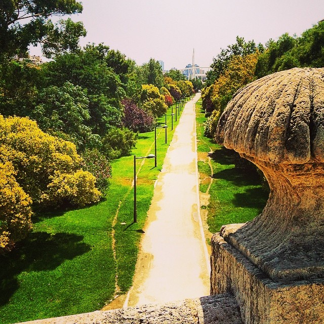 #mussol78 #cauce del rio #turia #jardin #parque #valència #valenciacity #valenciagram #valenciaenamora #valenciagrafias #lovevalencia #loves_valencia #estaes_valencia #estaes_espania #instagood #instagramers #instamessage #insta_international #insta_colourfull #placeofworld #ig_europe #followback #fotomovil_es #fotomovil_es