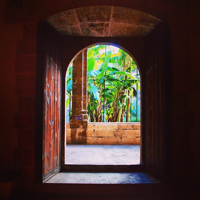 #mussol78 #monasterio de la trinidad #claustro #refectorio #platanera #valència #valenciagram #valenciaenamora #valenciagrafias #lovevalencia #loves_valencia #estaes_valencia #estaes_espania #instagood #instagramers #instamessage #insta_colourfull #insta_international #placeofworld #ig_europe #fotoclub #followback #fotomovil_es