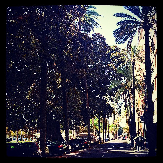 #mussol78 #alameda #valència #valenciacity #valenciagram #valenciaenamora #lovevalencia #loves_valencia #estaes_valencia #estaes_espania #instagood #instapics #instamessage #instalife_shot #insta_colourfull #insta_international #placeofworld #ig_europe #igvalencia #ig_valencia #iphonepics #followback
