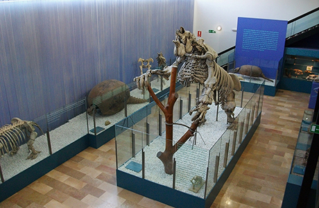Museo Municipal de Ciencias Naturales