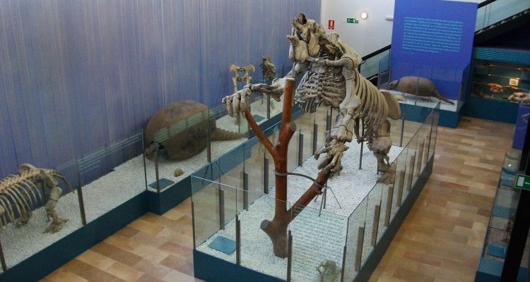 Museo Municipal de Ciencias de Valencia