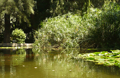 Jardines de Monforte