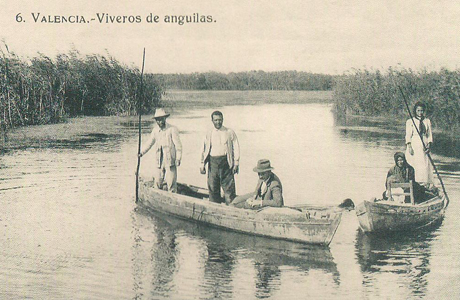 historia de la albufera 