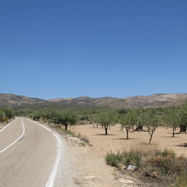 En remontant le cours del #Turia ... Louer une voiture une journée et découvrir des paysages incroyables #Valence #Valencia #Espagne #Voyage #VoyageEspagne #Decouverte #CommunauteValencienne #VoyagesALaCarte #SurMesure #ValenceMeconnue #ValenciaMeconnue #Patrimoine #CityBreak #WeekEnd #DecouvrirValencia #EspagneSoleil #ValenciaInsolite
#comunitatvalenciana #lovevalencia
