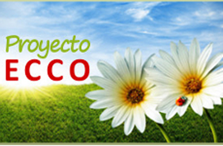 Juego de espejos Proyecto Ecco