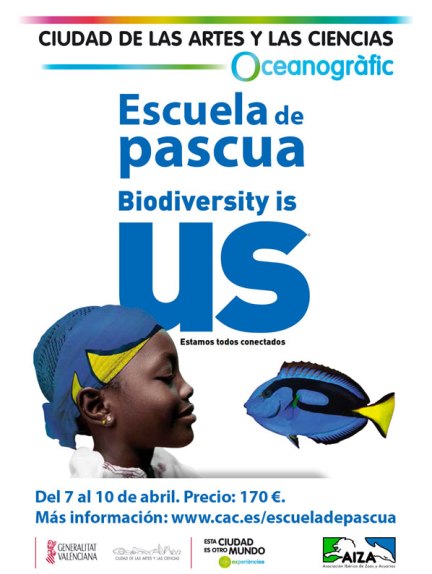 escuela-pascua-oceanografic-2015