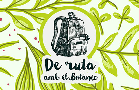 rutas con el botánico ciclo de excursiones 2015