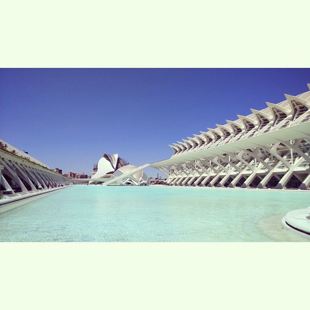 #vsco #vscocam #vscogood #sea #selfies #instagram #instagood #instadaily #lovevalencia #love #loveit #lover #valencia #ciudaddelasartesylasciencias #oceanografic #rio #water #like4likeback #likeforlikes #f4f #l4l #FollowMe #spain