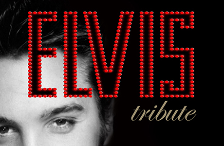 tributo a elvis en el teatro flumen