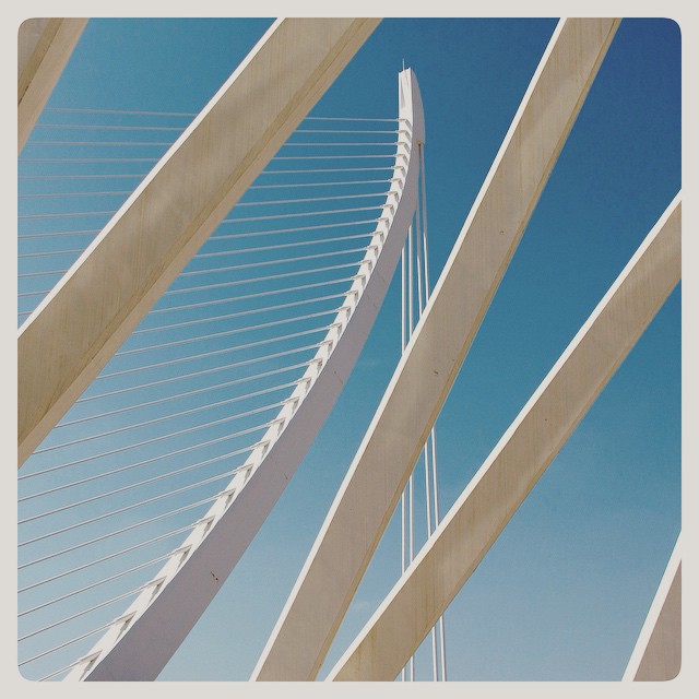 Caos #ciudaddelascienciasylasartes #ciudaddelasciencias #valencia #valenciagram #lovevalencia #loves_valencia #instragram #igers #instadaily #instagood #comunidadvalenciana