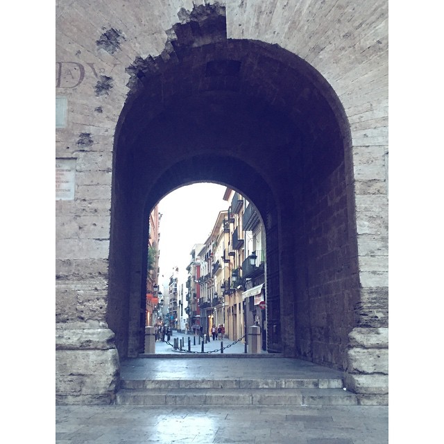 -vienes o no?
Él ya había cruzado la muralla y se giró impaciente, pero yo no tenía claro si quería dar ese paso. Estaba bien la perspectiva de una nueva ciudad, y se veía bonita Valencia, alegre, algo escandalosa y caótica, pero habitable. Por un momento, tomé la decisión de atravesar el umbral tras él... pero me crucé con sus ojos que me miraban con superioridad, y me dije, a la mierda, me voy. Me di la vuelta y empecé a correr, liberándome de mi carga, saboreando mi libertad, aunque sintiendo una punzada de miedo e incertidumbre: ¿dónde iba a dormir? ¿y a comer? ¿quién me acariciaría ahora? También sentí algo de pena por él, pero me pasó rápido; ya no me ataría nadie por las noches ni me daría patadas cuando estuviera cansada; además, en el Mercado Central podría comprarse mañana una mula nueva, más joven y menos harta de él que yo #valenciamedieval