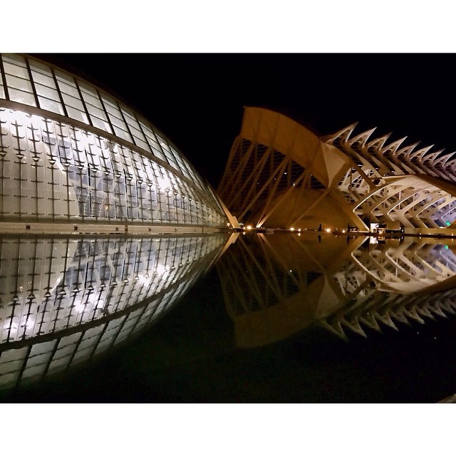 #fotón #foto_line #fotoshoot #fotodeldia #instantesvisuales #instantes_fotograficos #fotomovil_es #wonderful #wonderful_places #worlderlust #igvalencia #ig_valencia #valencia #ciutatdelesarts #ciudaddelasartes #ciudaddelasartesylasciencias #calatrava #ig_captures #ig_captures #ig_shooters #nightlife #night #valencianights #lovespain #lovevalencia
